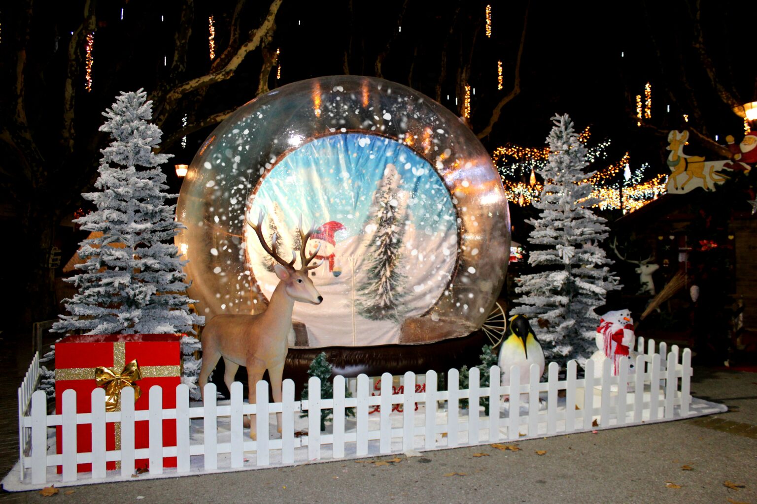Boule de Neige Géante – Boule de Neige